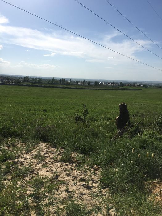 Участки кх. Участки кх. Участки кх. Участки кх. Участки кх.