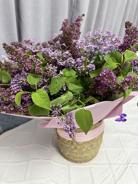 букет цветы сирень