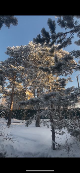 Дам в ареүду центре Борового