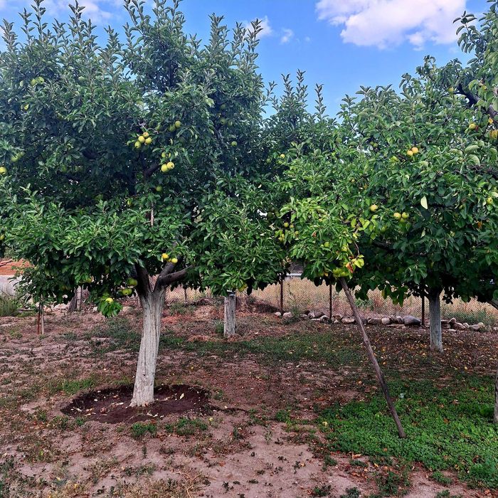 Продава се Къща в Панагюрище - 20 кв.м за 1500 €/кв.м - Снимка #5