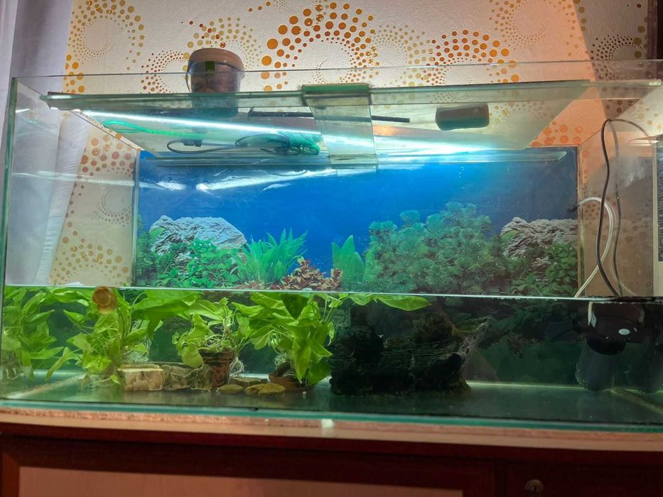 Продам аквариум без рыбок