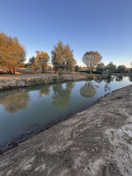Рибарник/Водоем зарибен Промоция до Нова Година