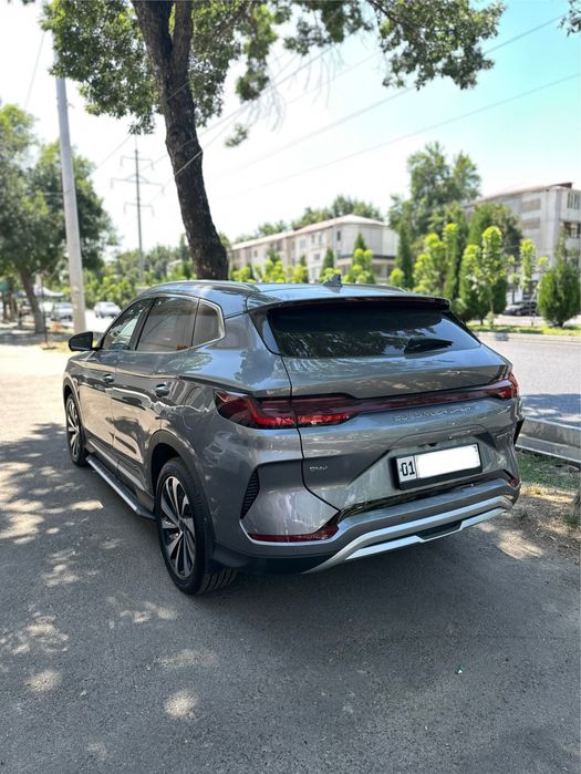 Byd chempion gibrit 2025-yil