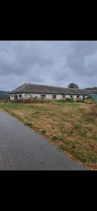 Baloti lucerna sau Fan.Rotunzi 40.Drept.500.Ferma de închiriat.