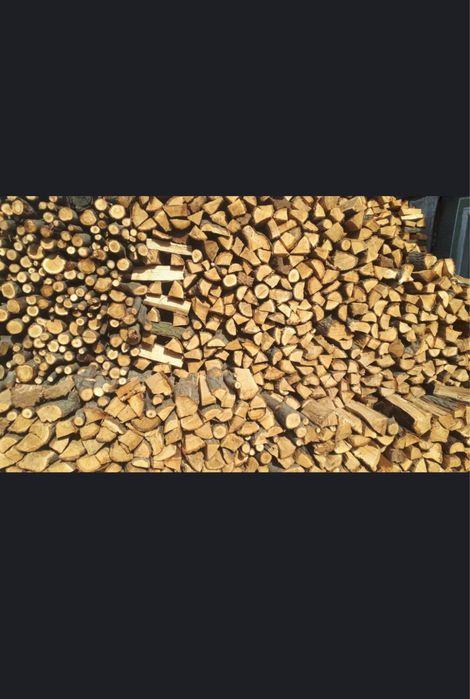 Дрова карагач. Колотые и цельные