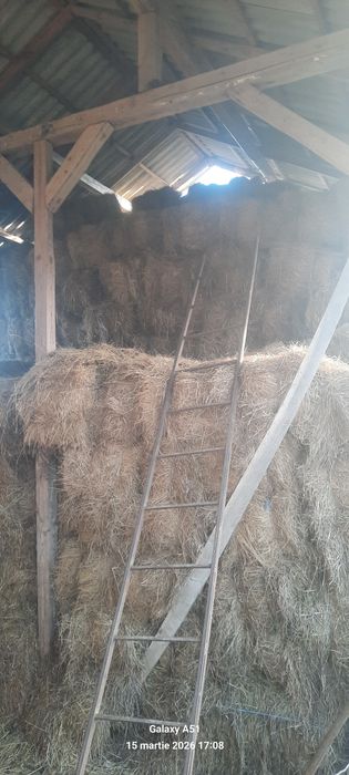 Vînd baloti fîn dreptunghiulari .și rotunzi