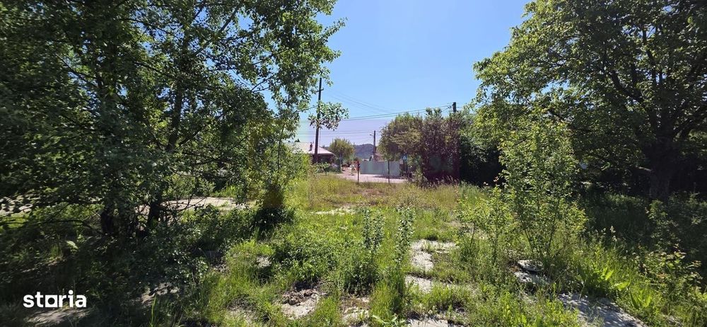 Teren intravila 40.679 mp in Campina, dezvoltare imobiliara