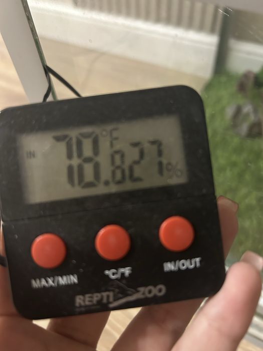 Эублефар с полным комплектом