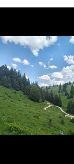 Anexa si cu teren extravilan la munte