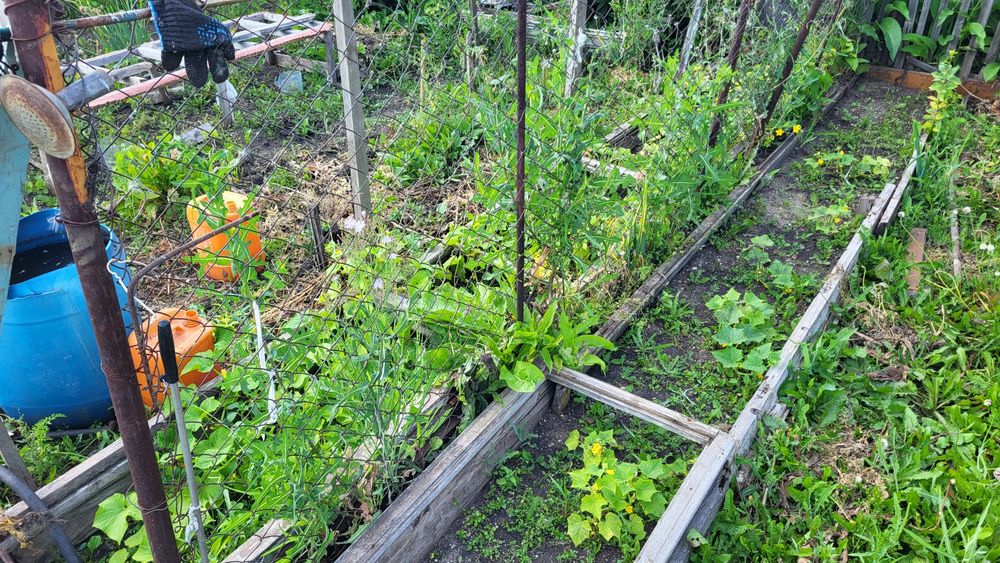 Продам дачу сады 1