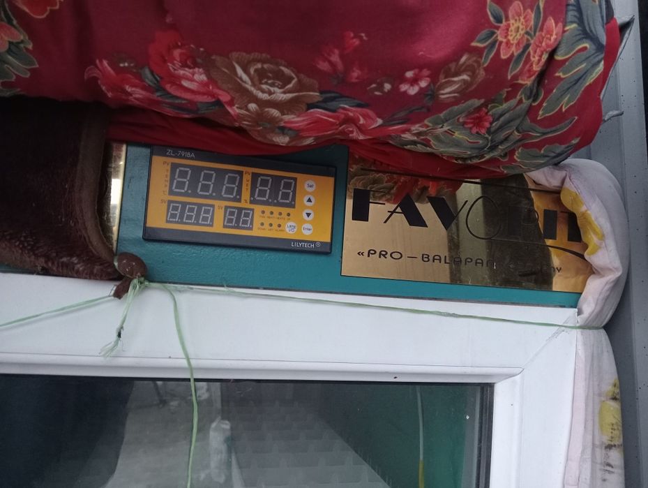 Инкубатор для яиц