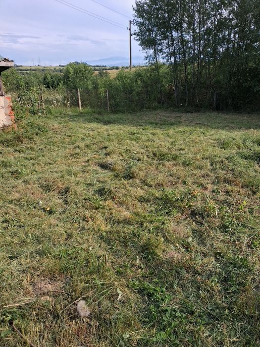 Чистене на запустели парцели