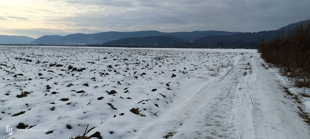 Vând  teren în extravilan situat lânga parc industrial . Last minute !