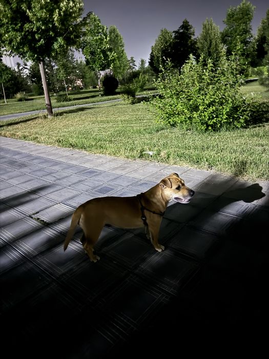 Продается срочно