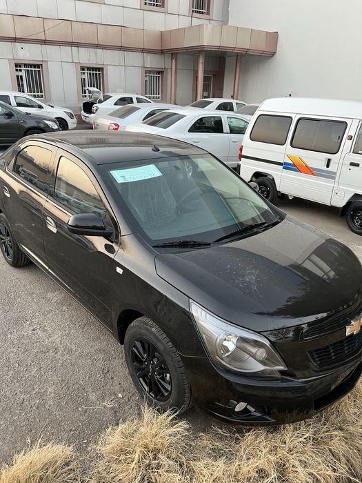 Cobalt Midnigh Mcm 2026