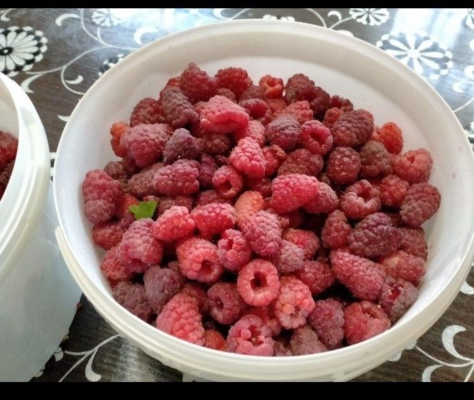 Продам корни малины