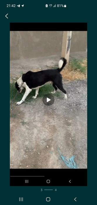 Srochna Sotiladi