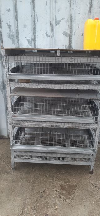 Брудера для перепёл, цыплят