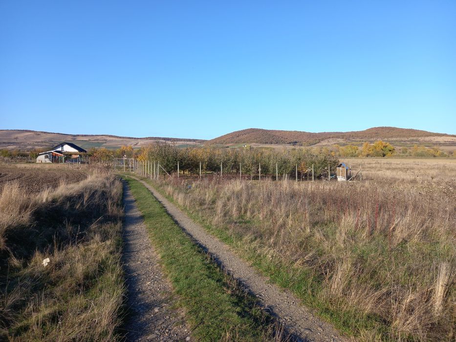 Teren intravilan cu acte la zi