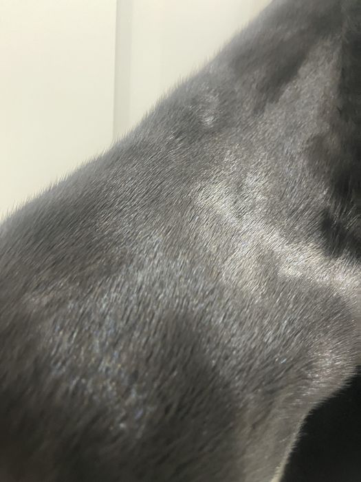 Шуба норка длинная цельная