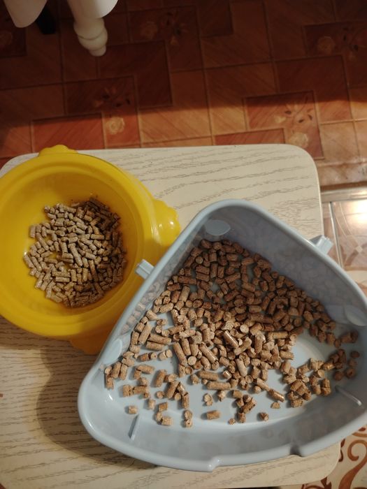 Продам кролика со всеми принадлежностями