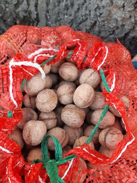 Грецкие орехи урожай 2025г.