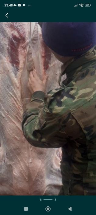 Мясник касапшы забойшик.