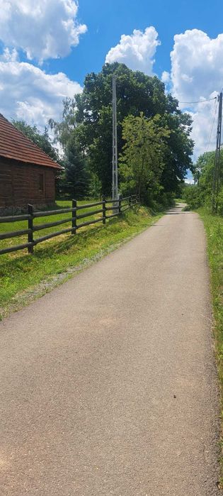 Teren Premium Intravilan Șuncuiuș (Pojorâta) - Ideal Glamping / Cabane. Panoramic, Pădure, Utilități