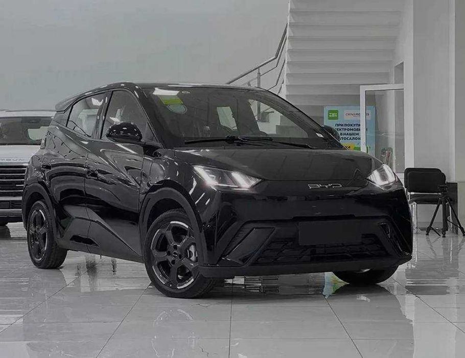 Byd Seagull Halol Nasiyaga