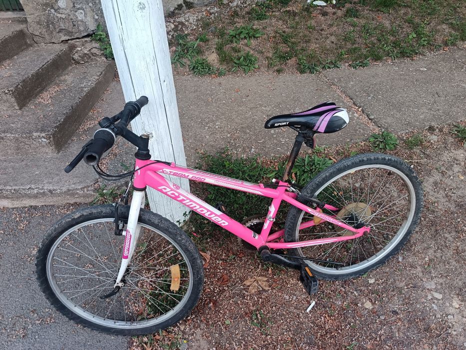 Bicicleta pentru copii