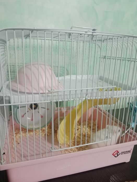 Продам хомяков с клеткой