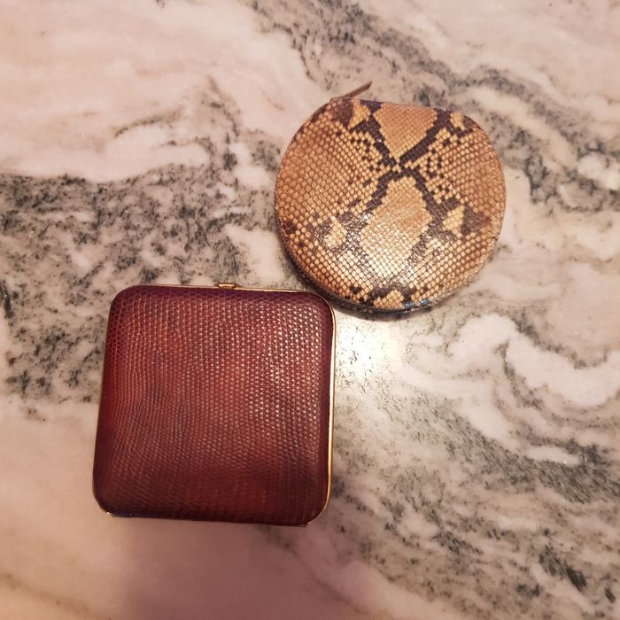 pudriere piele soparla piton