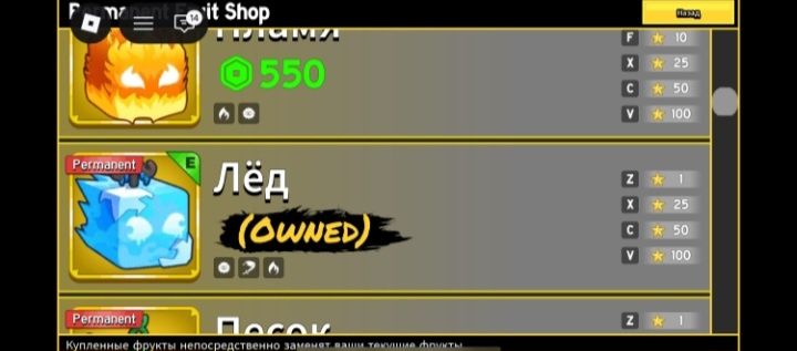 Продаю акаунт в roblox в блокс фрутс