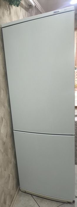 Атлант высота 1, 8м