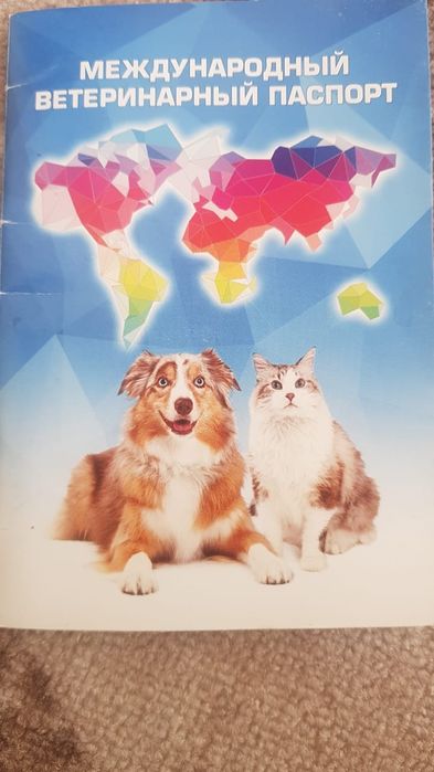 Американский стаффордшиский терьер