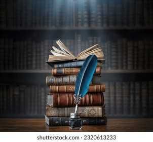 Ofer meditatii de limba și literatura română! Nivel gimnazial