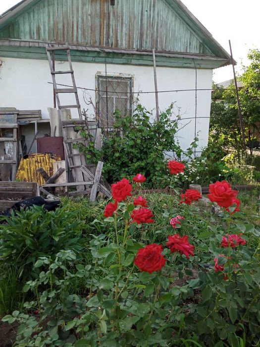 Продам дачу, Красный Камень