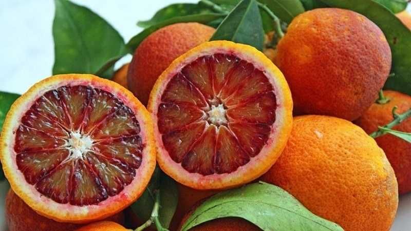 Кровавый Апельсин кучатлари сотилади