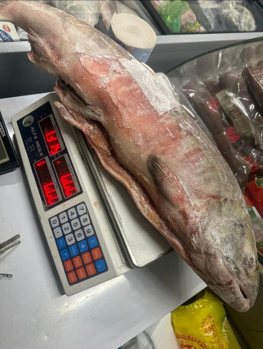 Рыба в ассортименте