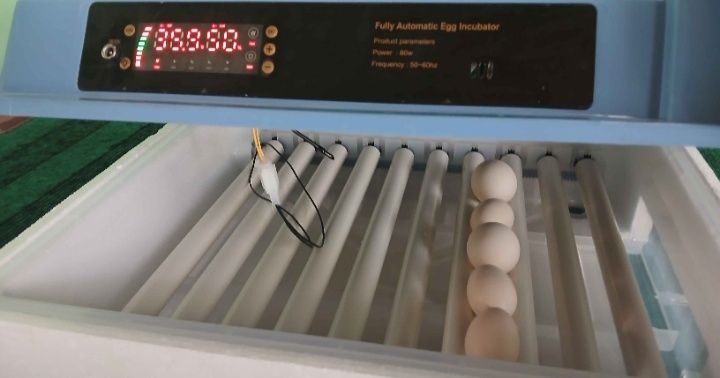 Инкубатор аппарат