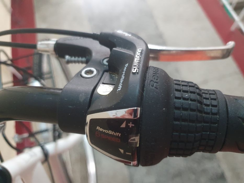 Bicicleta Adriatica 29"