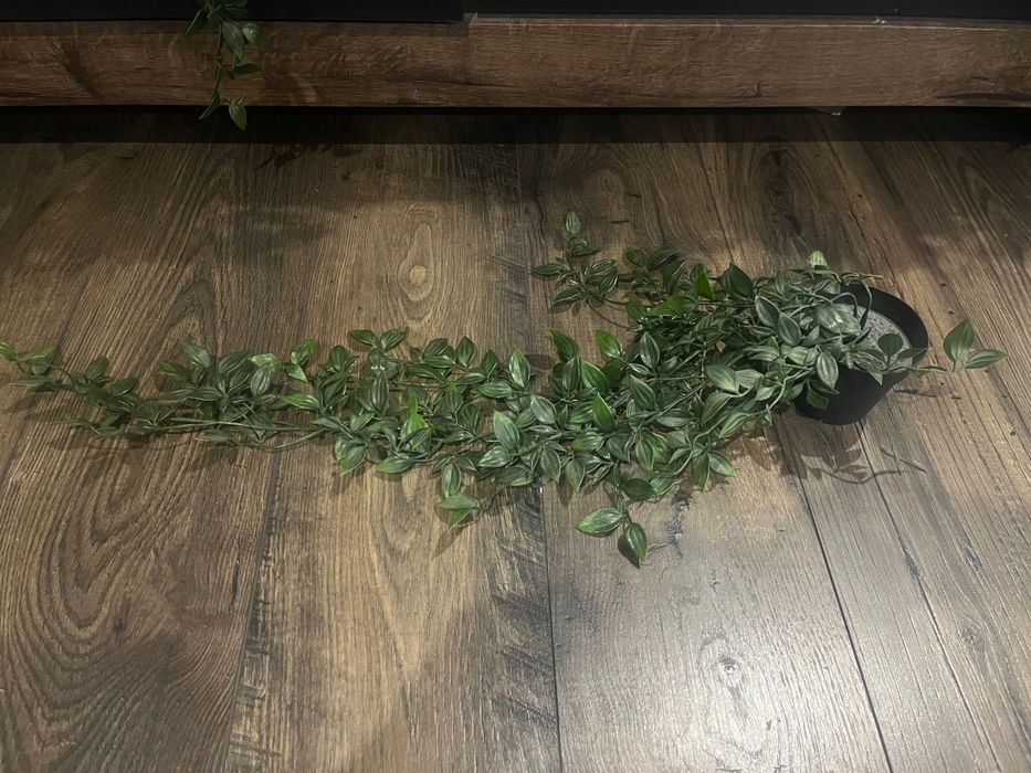 Изкуствени растения