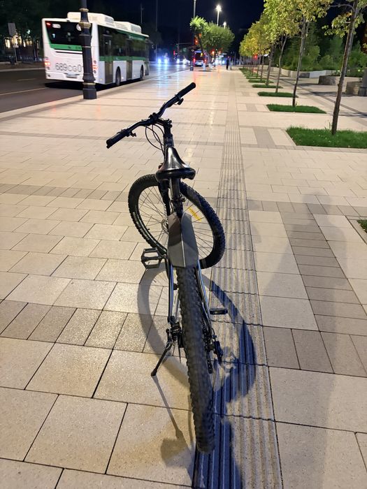 Cruzer Horizon велик
