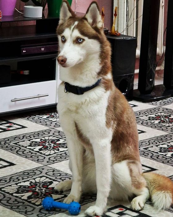 Ищем кабеля для вязки