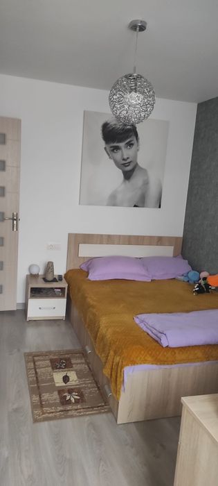 Apartament 3 camere Malul rosu