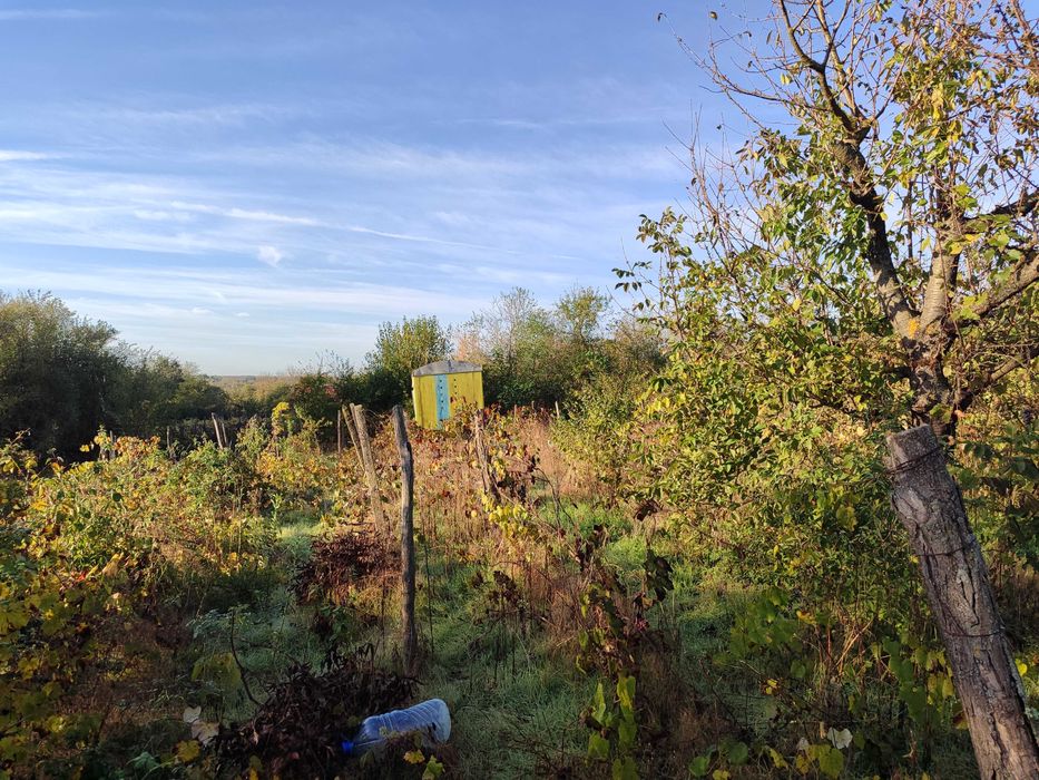 Продава се Парцел в Добрич, в.з. Лозята - 600 кв.м за 13 €/кв.м - Снимка #3