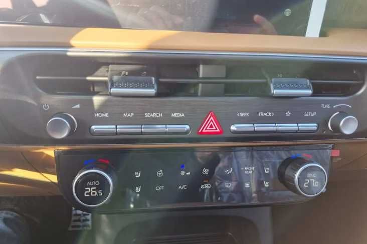 Hyundai Palisade Calligraphy!