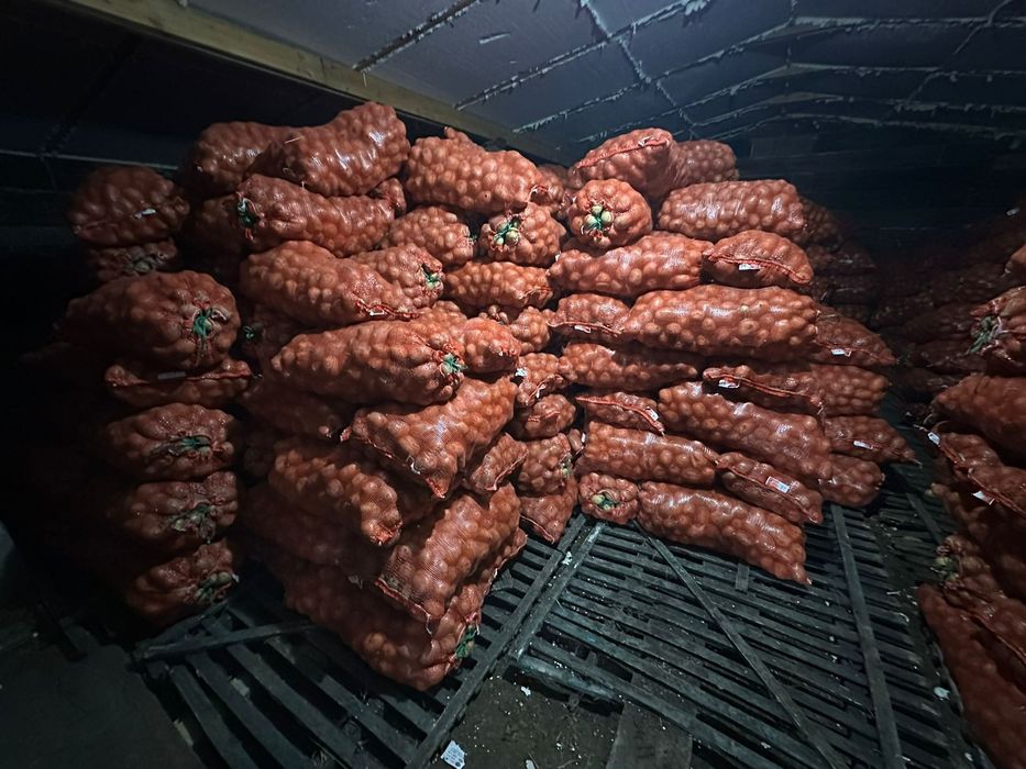 Картофель домашний