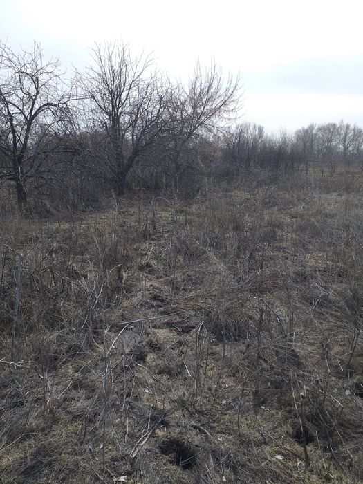 Продам дачу, 12 сот