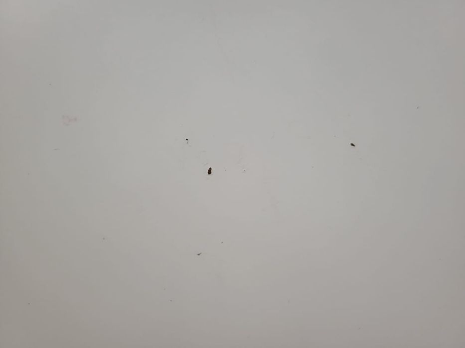 продам стол, белый в идеальном состоянии.